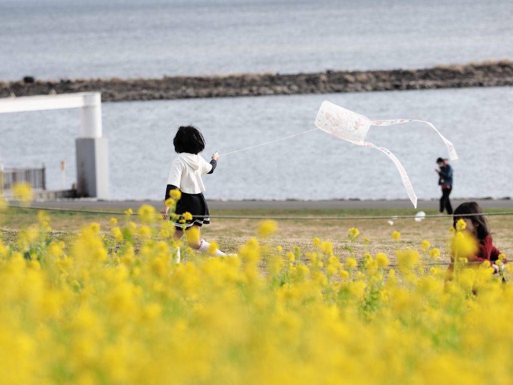 臨海公園 菜の花 凧揚げ 少女