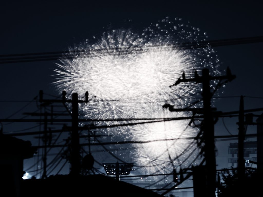 隅田川 花火 Fireworks