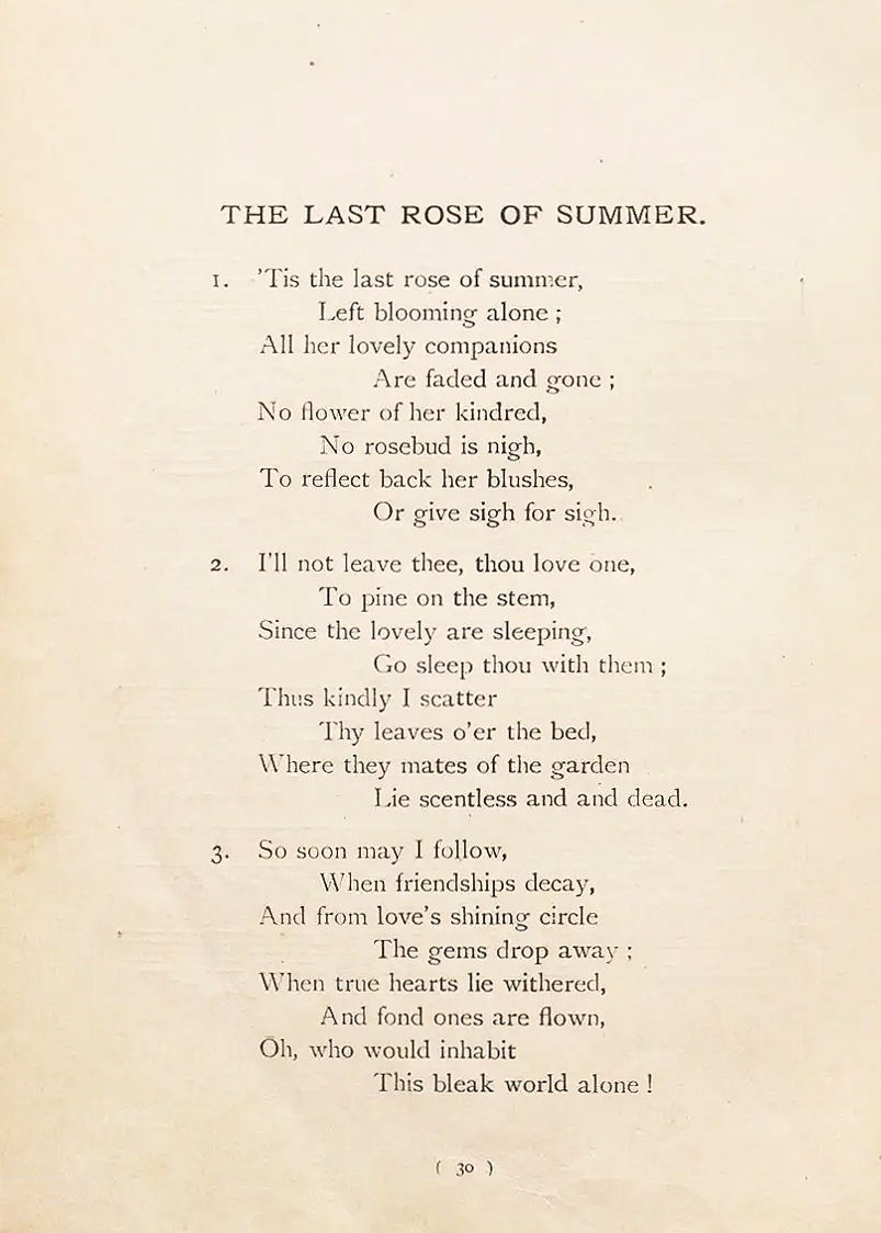 Tis the last rose of summer