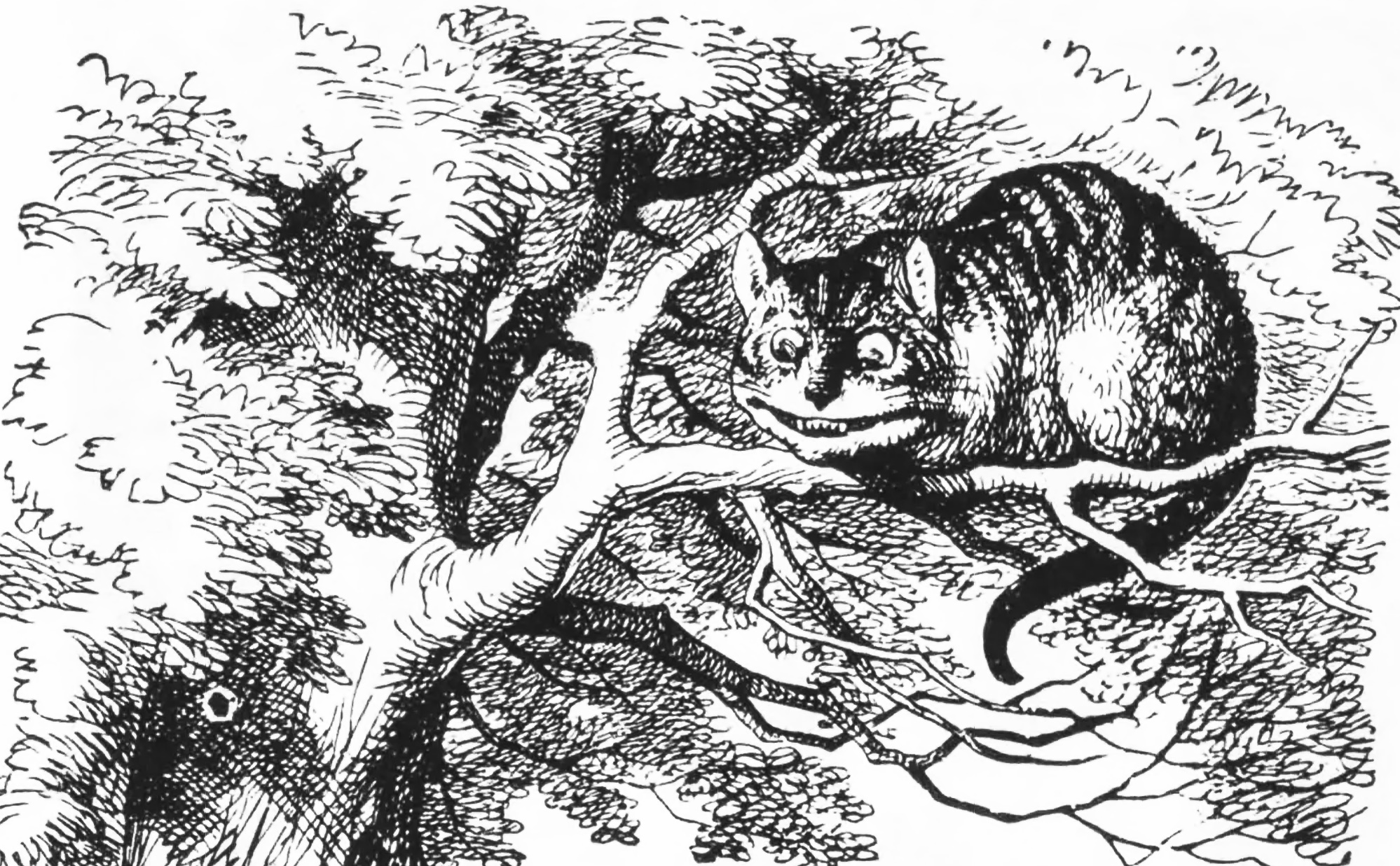 Cheshire Cat
